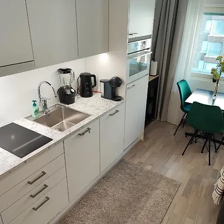 Stylish New Studio In Tikkurila, *