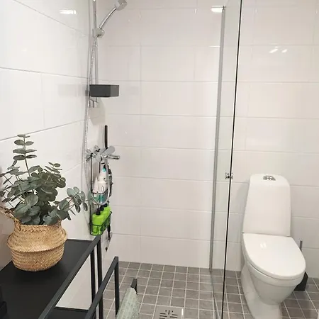Stylish New Studio In Tikkurila,